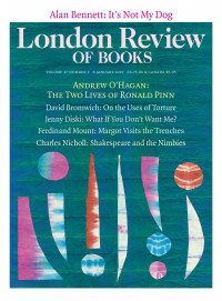 LRB cover 01/08/2015 random collage of shapes.