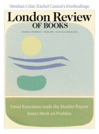 LRB cover 06/06/2019 yellow sun cloud and green blob.