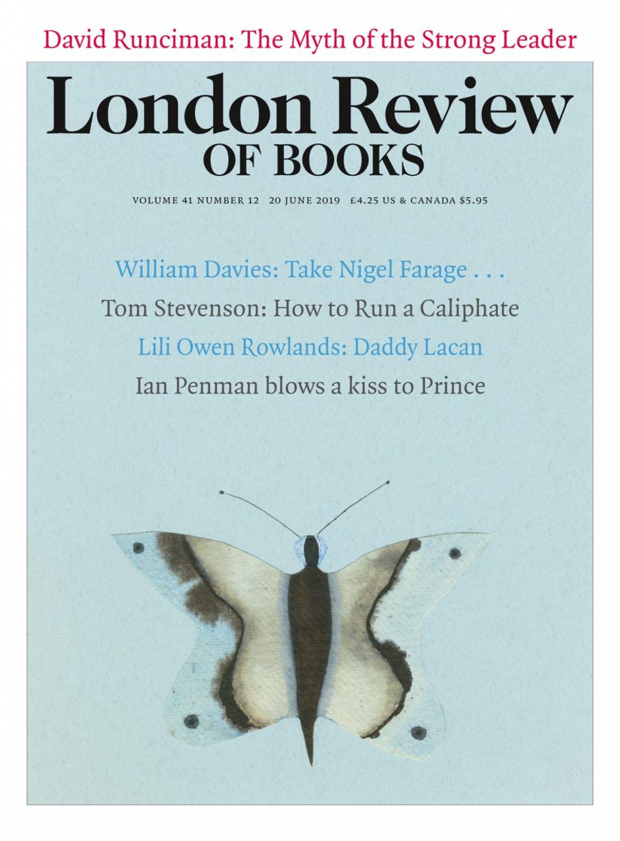 LRB cover 06/20/2019 butterfly against a pale blue background.