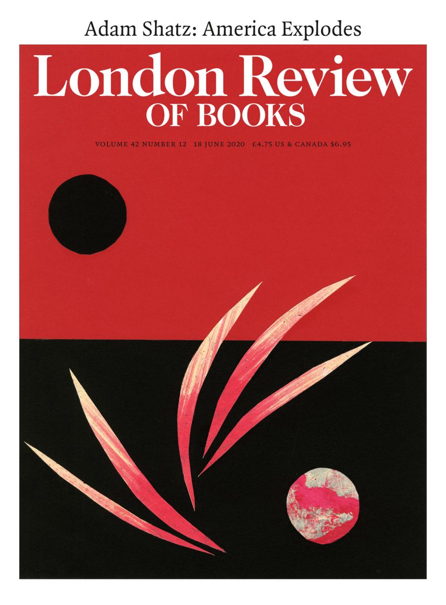 LRB cover 06/18/2020 red background and black foreground with circle on each abstract feathery frond on black area with marble circle.