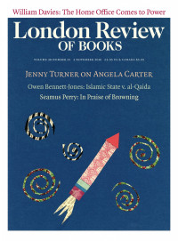 LRB cover 11/03/2016 firework collage against a blue background.